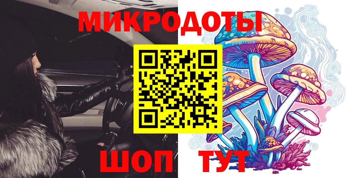 Строитель  Псилоцибиновые грибы мицелий  Вход с VPN 