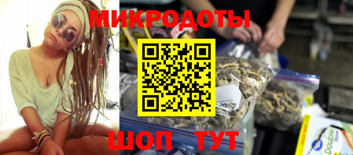 Псилоцибиновые грибы Psilocybe Строитель